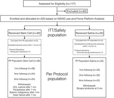 Intra-Articular Umbilical Cord Derived Mesenchymal Stem Cell Therapy for Chronic Elbow Osteoarthritis in Dogs: A Double-Blinded, Placebo-Controlled Clinical Trial